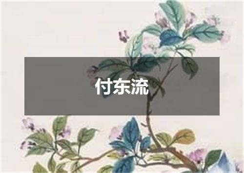 付东流