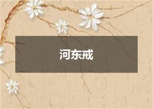 河东戒