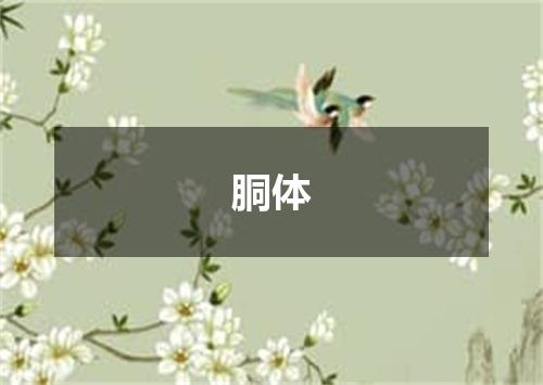 胴体