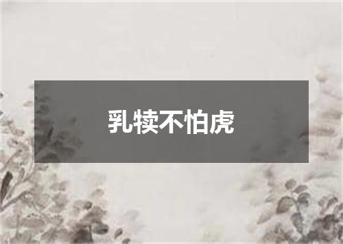 乳犊不怕虎