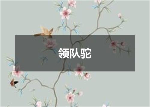 领队驼