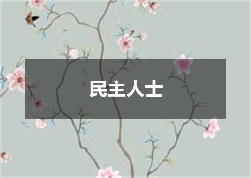 民主人士
