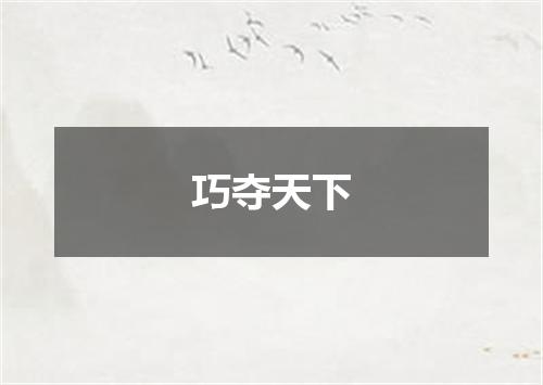 巧夺天下