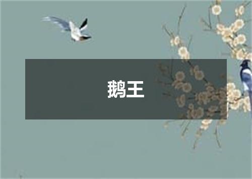 鹅王