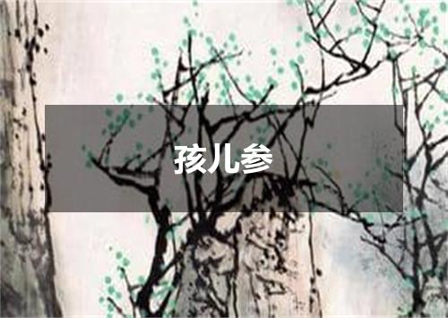 孩儿参