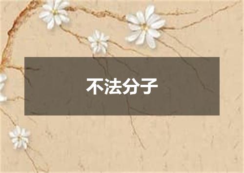 不法分子