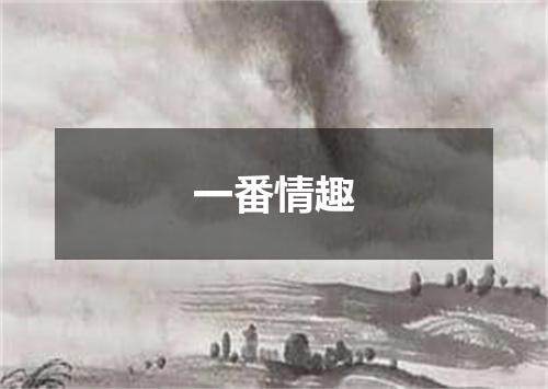 一番情趣
