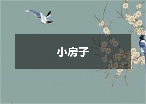 小房子
