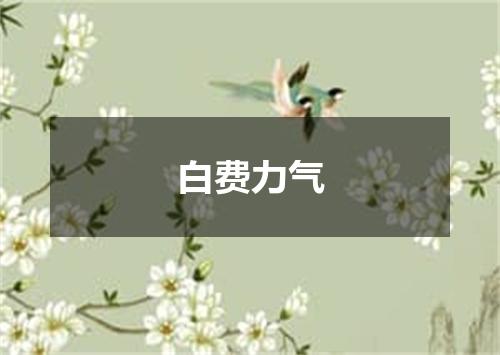 白费力气