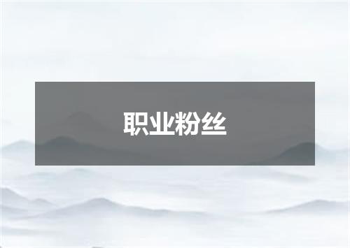 职业粉丝