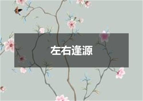 左右逢源