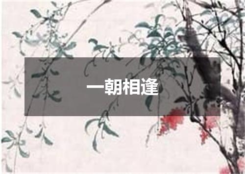 一朝相逢