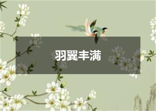 羽翼丰满