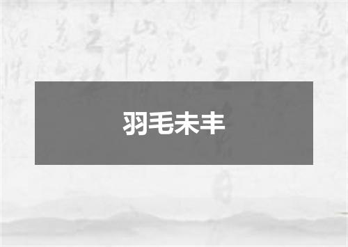 羽毛未丰