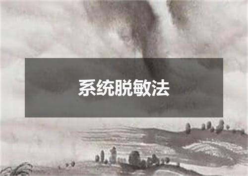系统脱敏法