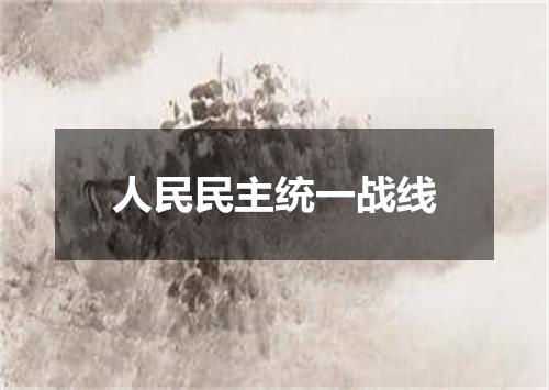 人民民主统一战线