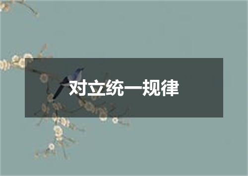 对立统一规律
