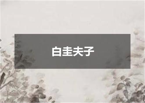 白圭夫子