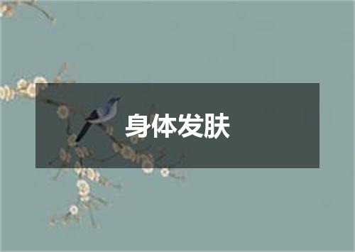 身体发肤