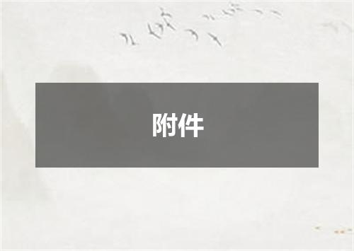 附件