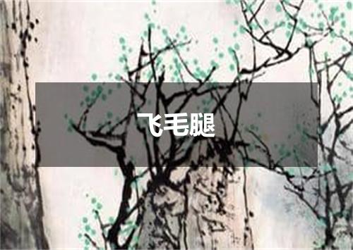 飞毛腿