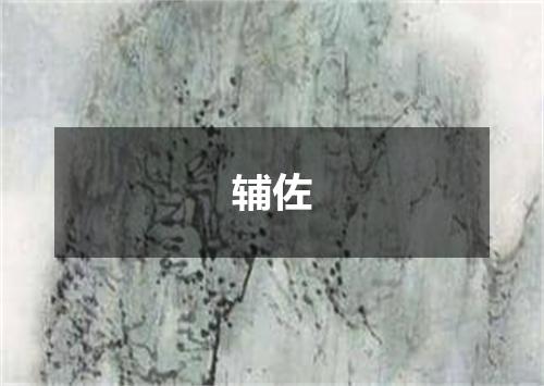 辅佐