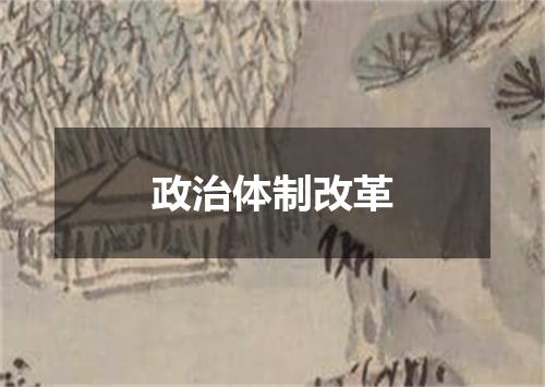 政治体制改革
