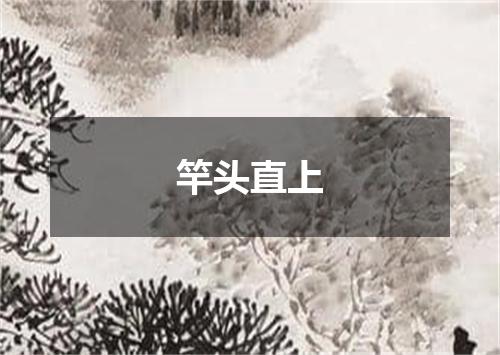 竿头直上
