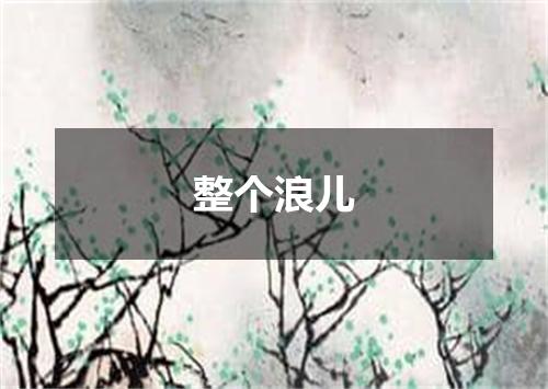 整个浪儿