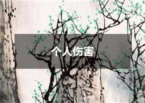 个人伤害