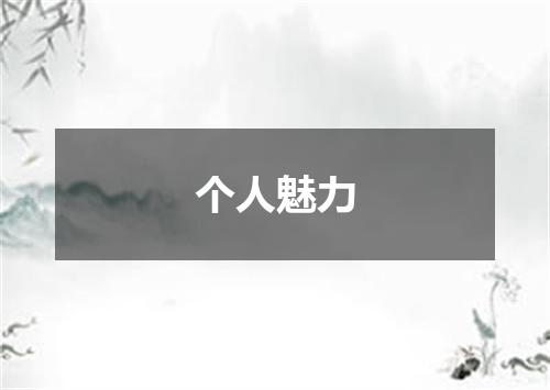 个人魅力