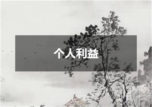 个人利益