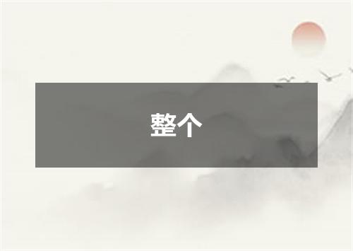 整个
