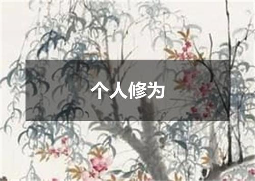 个人修为