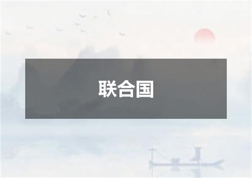 联合国