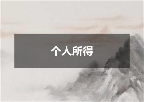 个人所得