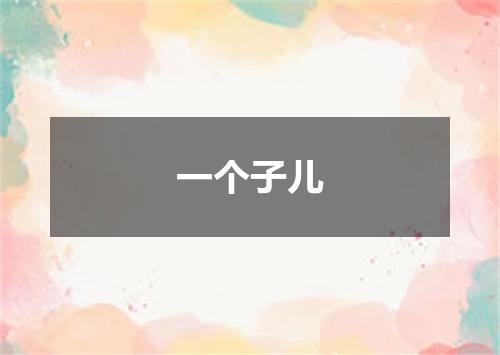 一个子儿