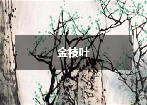 金枝叶