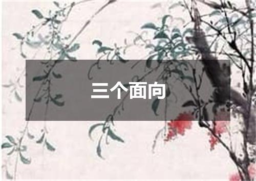 三个面向