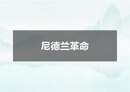 尼德兰革命