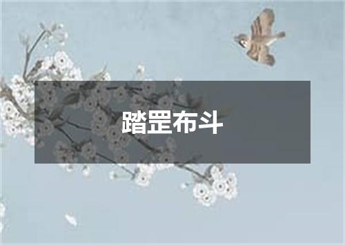 踏罡布斗
