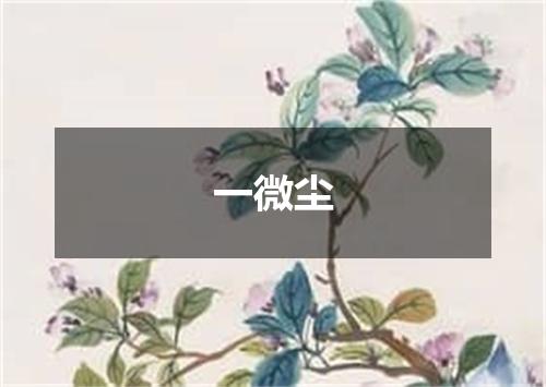 一微尘