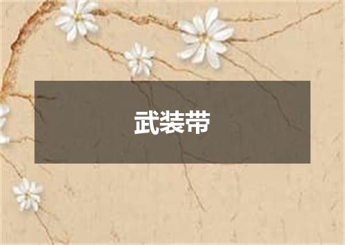 武装带