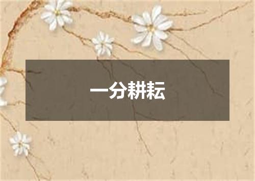 一分耕耘
