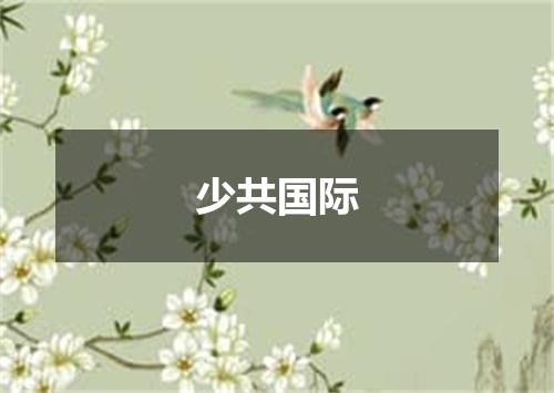 少共国际