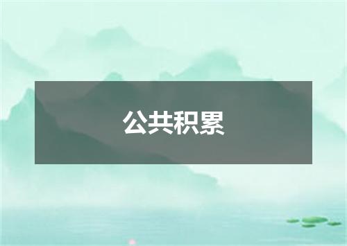 公共积累