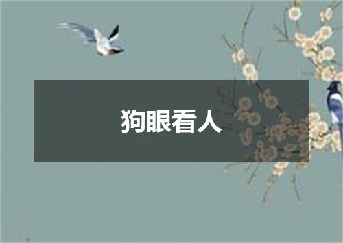 狗眼看人