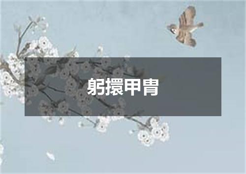 躬擐甲胄
