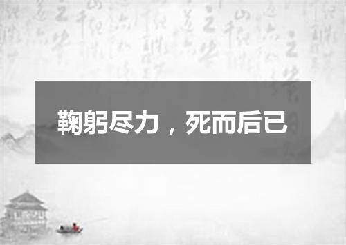 鞠躬尽力，死而后已