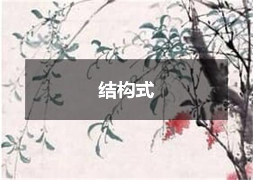结构式